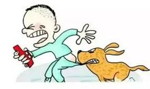 在马路上遇到危险情况时应该怎么办?