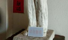 思―亲爱的外公_650字