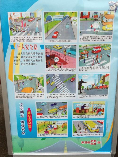 学生道路交通安全常识