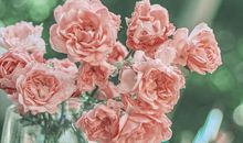 遗憾，另一种美_900字