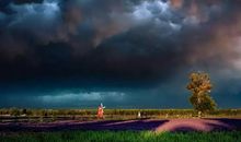 美丽的代价_600字