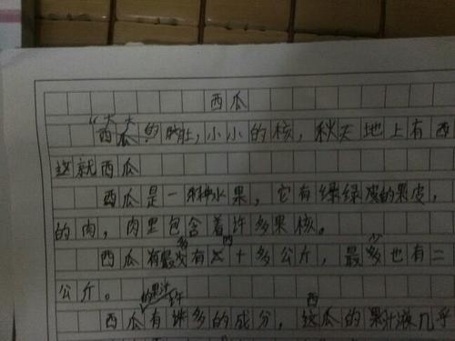外观上的组成：我的老师的外观描述_200字