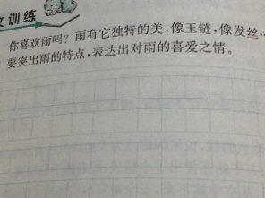 外观上的组成：我母亲的外观描述_450字