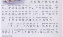 【微作文】我的家乡——慈溪_200字