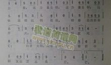 团结就是力量_500字