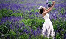 薰衣草丛中的女孩_700字