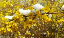 雪化了，是春天_700字