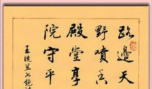顽强——生之道_750字
