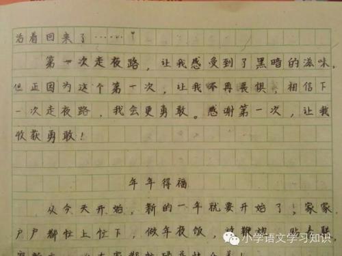 令人难忘的第一个_500字