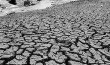 关于西南干旱的500字作文：大旱无情，人间有情_450字