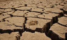 关于干旱的作文：由旱灾想到的_550字