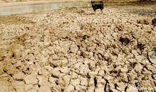 2010西南干旱中学生作文：干旱的感想（1）_300字