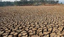 关于干旱的作文：西南干旱_450字