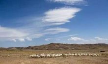 干旱的草原_750字