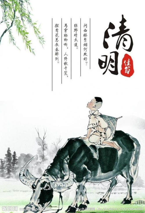 清明节收获_1200字