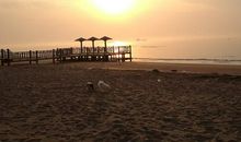 美丽的南戴河_700字