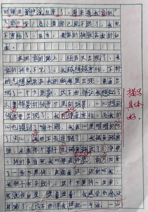 第一次难以忘怀_400字