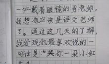 三年级想象作文：钢笔_450字