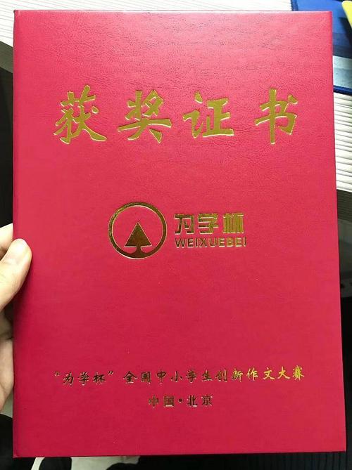 [对于杯子组a]误解_400字