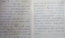 一切都是注定的_650字