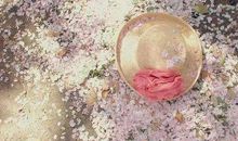 转身的瞬间_100字