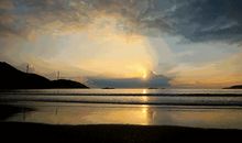 最美的“贝壳_1000字