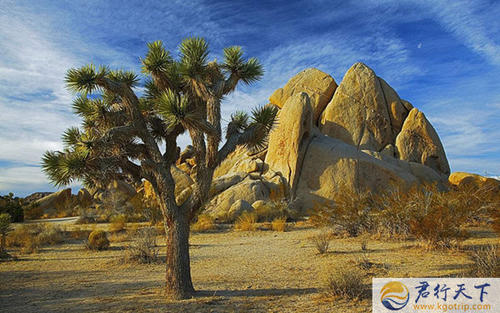 划分传统文化_700字