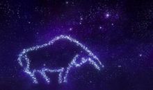 颜色不一样的烟火_900字