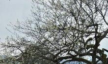 成长见证友谊的可贵_700字