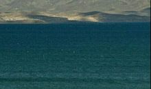 黑夜里藏有美丽_750字