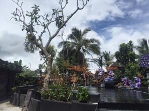 一个美妙,精彩的旅行_800♥