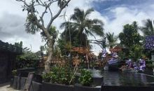 A wonderful,wonderful trip_800字