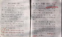 我懂得了爱_750字
