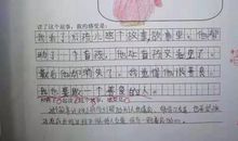 蒙以养正——读书_550字