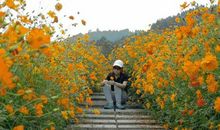 给我一点儿时间_800字