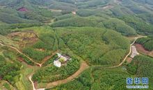 我是大山的孩子_450字