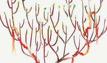 生命之重_1000字