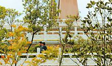 梦中的故乡_100字