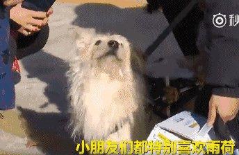 Rainhe思考_800字