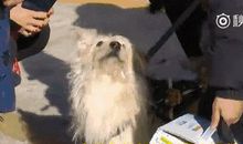 雨荷的思考_800字