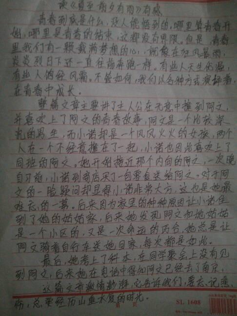 测试纸_500字