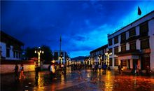 圣洁的母爱_550字