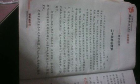 30年的科学家_450字