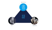 失也是得，得也是失_1200字