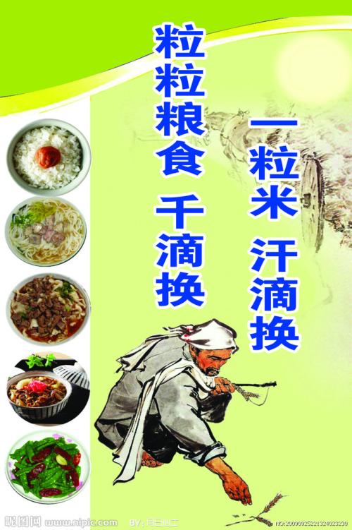 拯救食物，从我开始_900字
