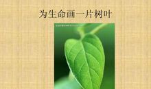 为生命画一片树叶