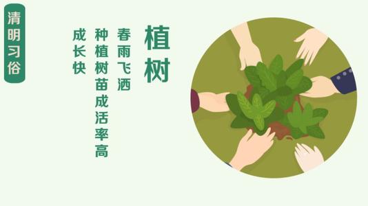 清明节，好句子：护理问答_750字