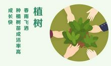 清明节好段好句：关怀问候_750字