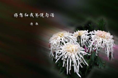 清明哀悼亲人的诗歌_800字