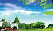 大自然的乐团_600字